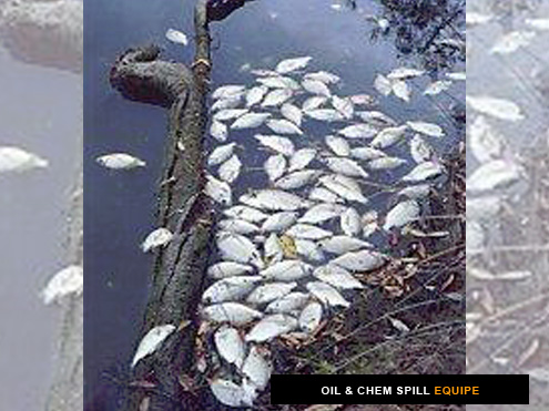 Blue Green Algae Containment