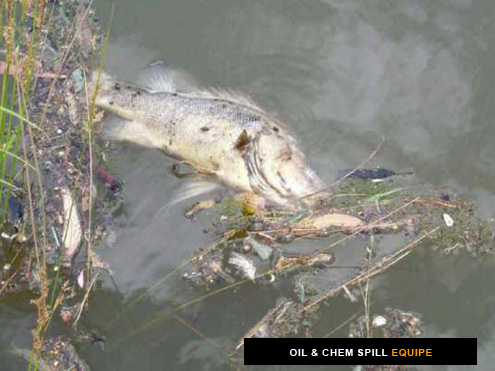 Blue Green Algae Containment